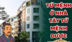 Người Đông Tứ Mệnh Ở Nhà Tây Tứ Mệnh Được Không? Sự Thật Phong Thủy Khoa Học Từ Chuyên Gia Kỳ Nam